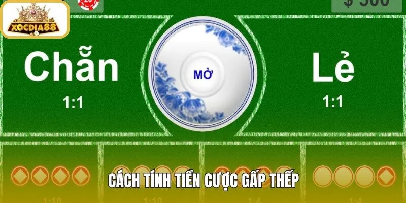 Xóc đĩa gấp thếp qua công thức nhân cược dễ theo dõi