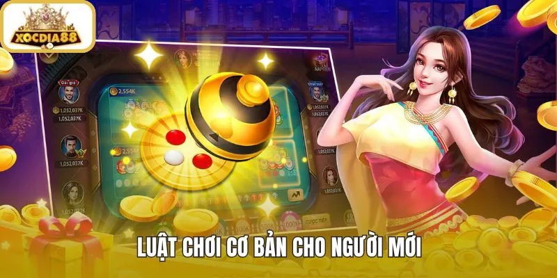 Luật Xóc đĩa nền tảng cho người mới nhập bàn