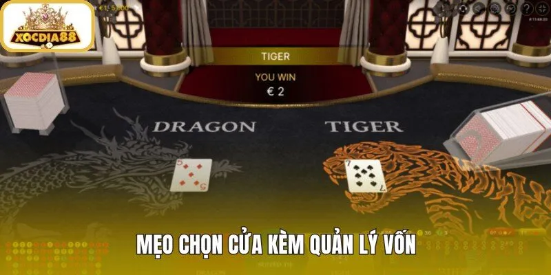 Mẹo Dragon tiger về chọn cửa và kiểm soát vốn